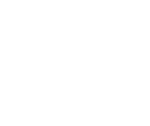 Logo-skyroof_bc